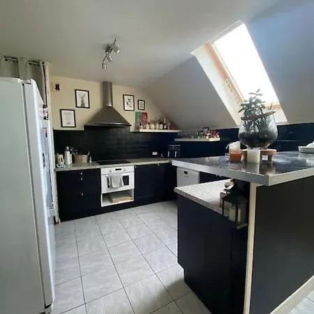 Apartment Duplex Entre De Paris Et