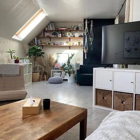 Apartment Duplex Entre De Paris Et Noisy-le-Grand