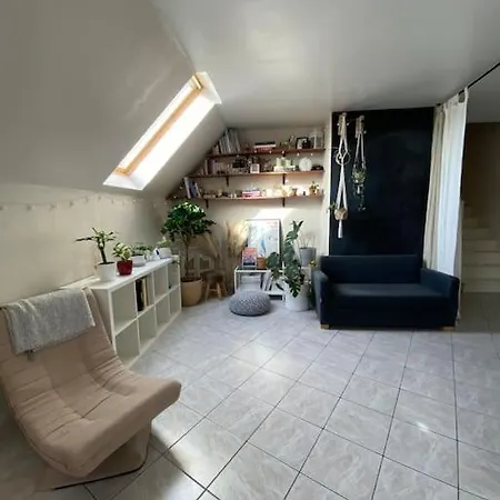 Duplex Entre De Paris Et *